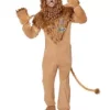 Adult Lion Costume - The Wizard Of Oz